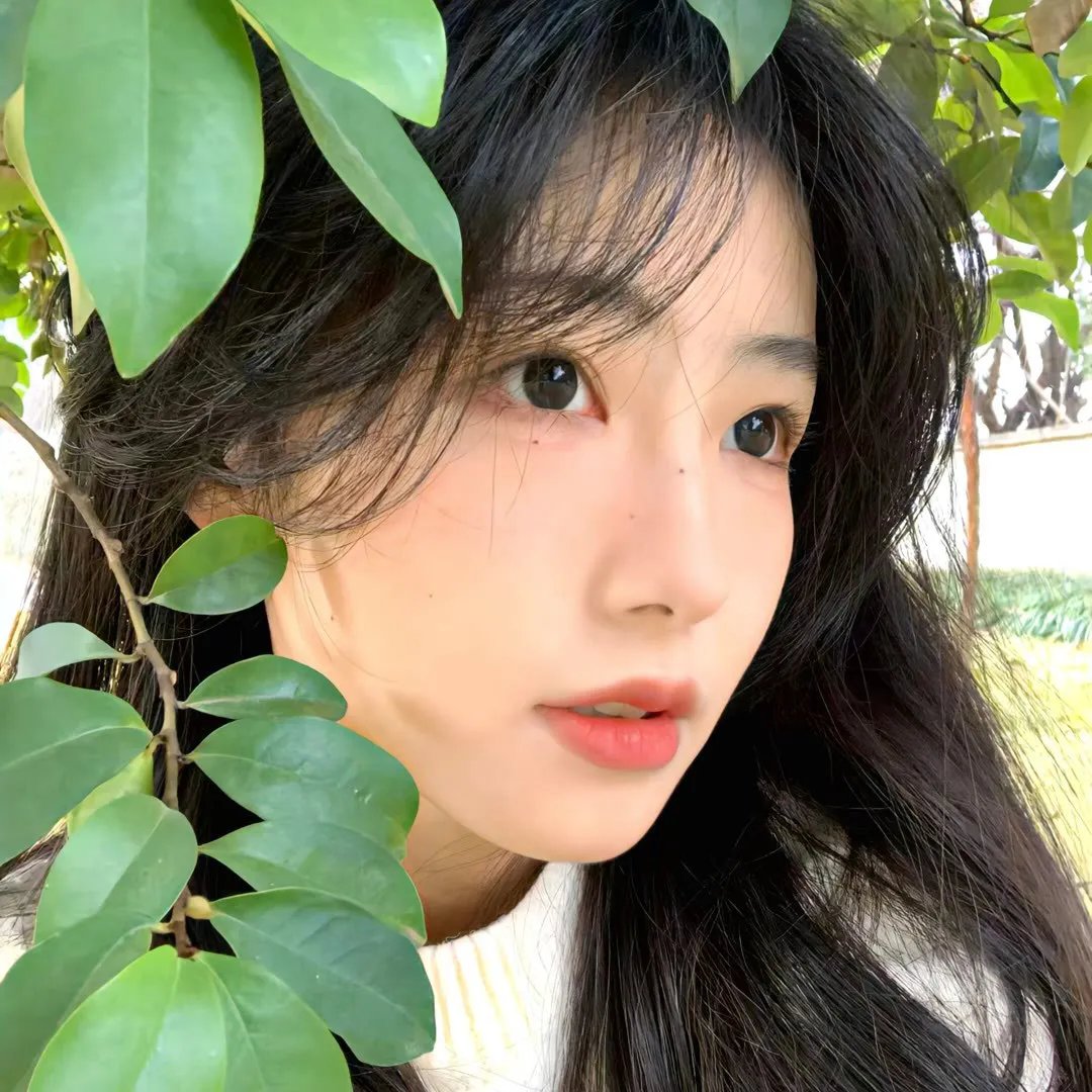 最后的太阳